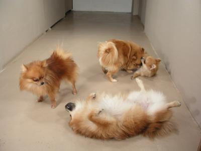 Dec20_02_244.JPG
