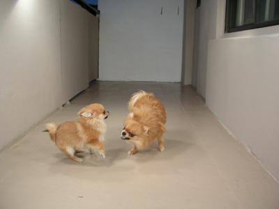 Dec20_02_277.JPG