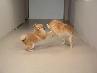 Dec20_02_279.JPG