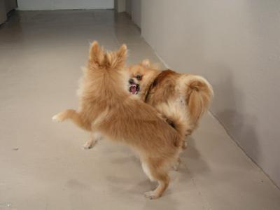 Dec20_02_281.JPG