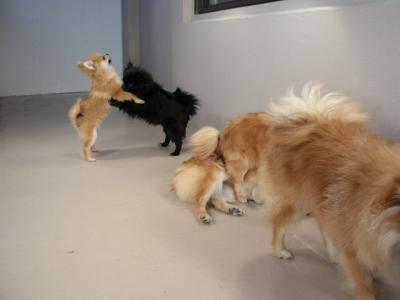 Dec20_02_306.JPG
