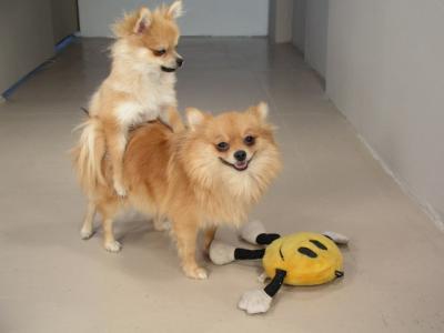 Dec20_02_309.JPG