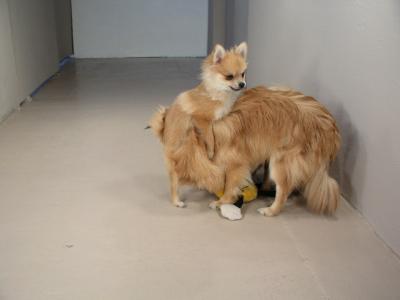 Dec20_02_314.JPG