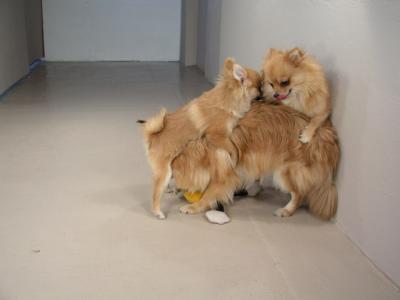 Dec20_02_318.JPG