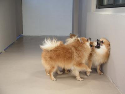 Dec20_02_326.JPG