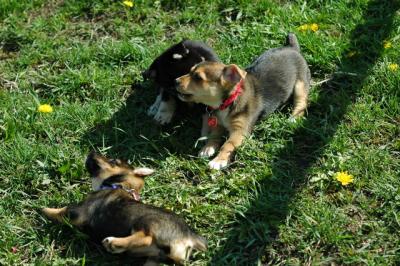 Apr29_05_068.JPG
