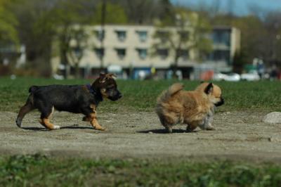 Apr29_05_089.JPG