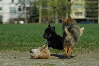 Apr29_05_347.JPG