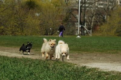 Apr29_05_367.JPG