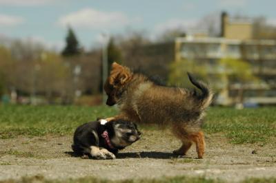 Apr29_05_370.JPG