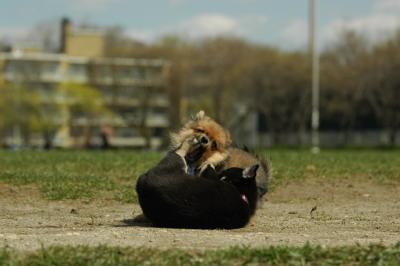 Apr29_05_377.JPG