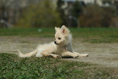 Apr29_05_399.JPG
