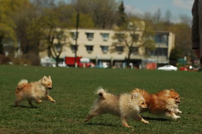 Apr29_05_401.JPG