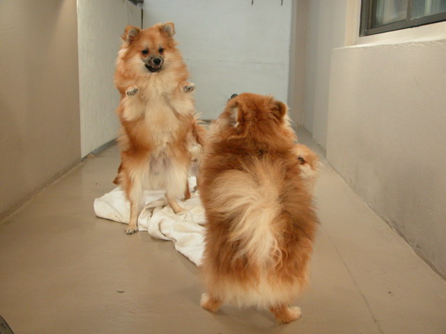 Dec15_02_765.JPG