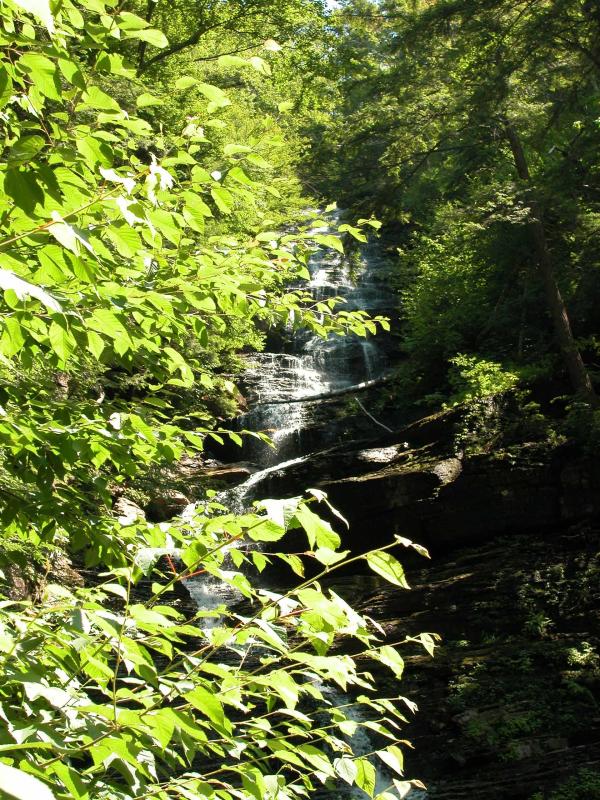 Last day a trip to Lynne Brook Falls .....