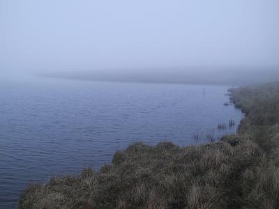 IMG_1601.JPG