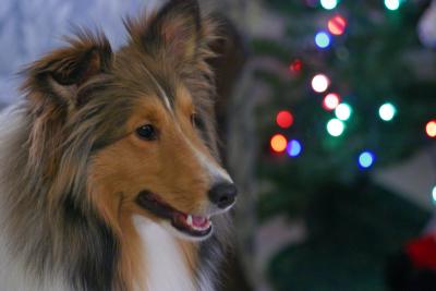 u11/blownaway36/medium/38004591.ChristmasKacey.jpg