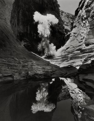Grand Canyon in Black & White
