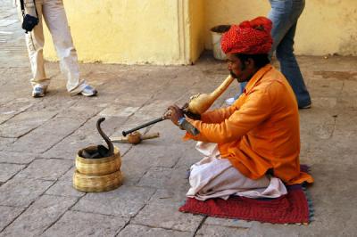 Snake Charmer, Jaipur City Palace