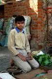 Boy at a roadside shop in Gwalior