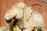 Elephant at a Hindu temple