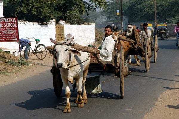 More carts, Gwalior Road