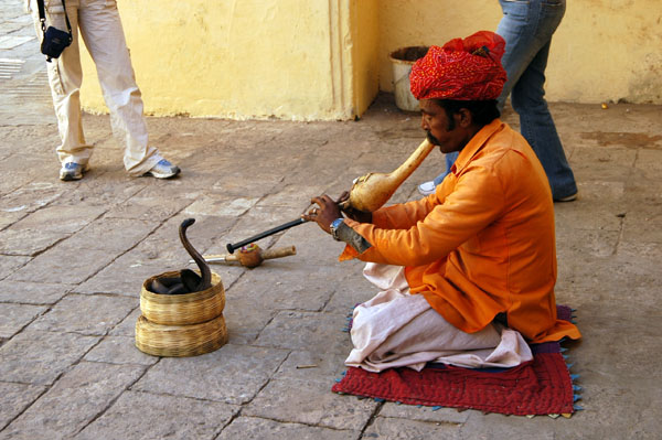 Snake Charmer, Jaipur City Palace
