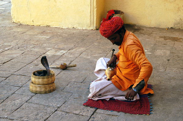 Snake Charmer, Jaipur City Palace