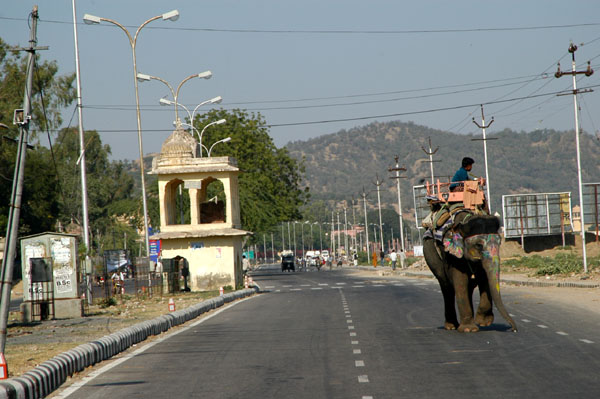 Elephant on the road in Jaipur