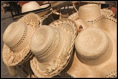 CRW_0280.jpg
