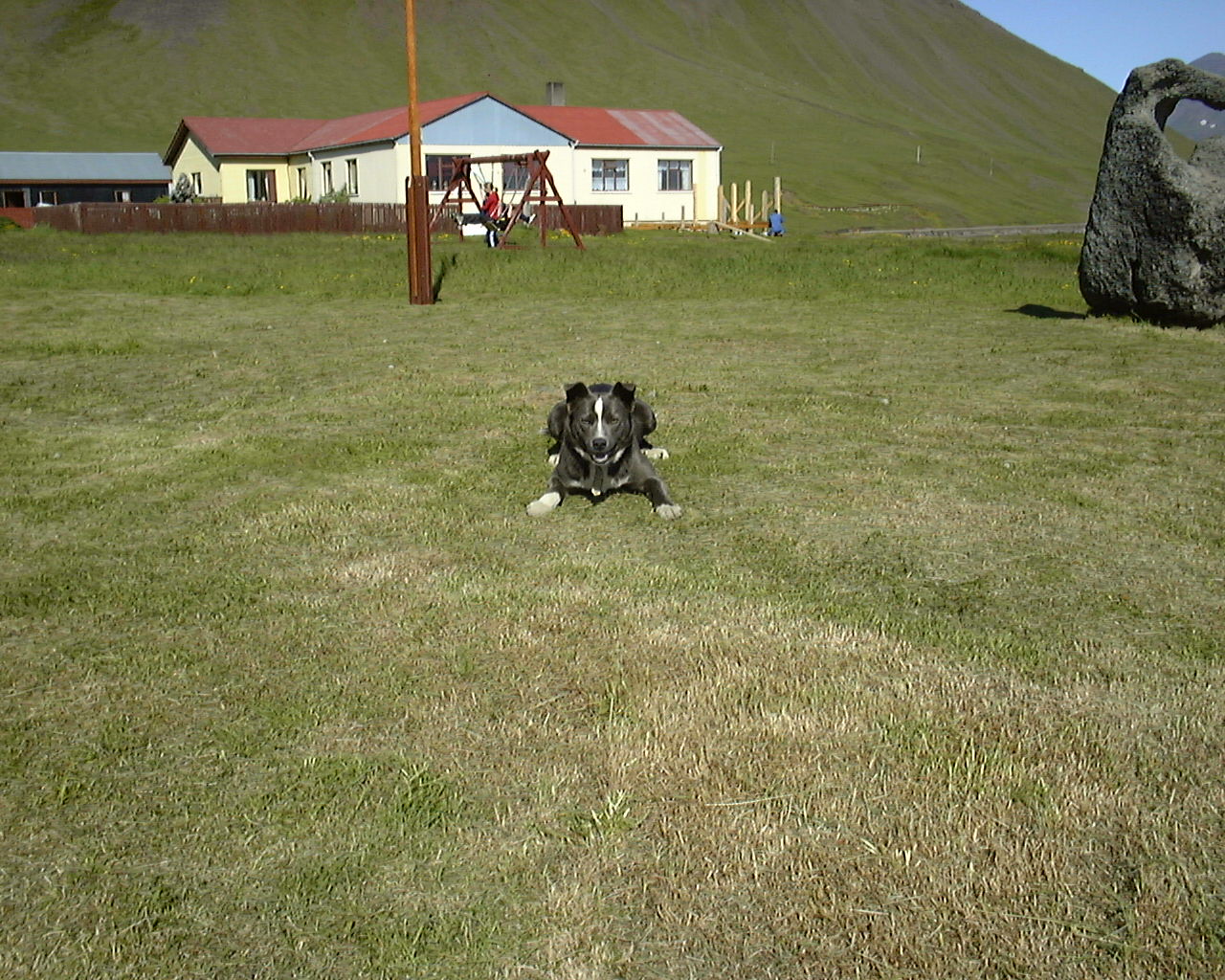  <a href=http://www.nat.is/travelguideeng/plofin_cove_trekyllisvik.htm>Trkyllisvk</a>
