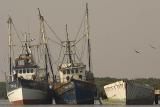 Mazatlan Fishing Boats