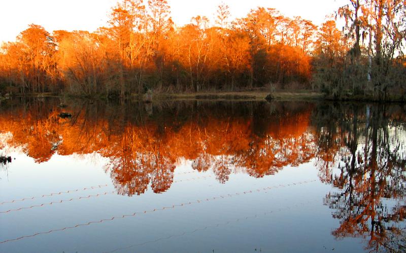 Tranquility