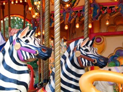 Two Zebras
