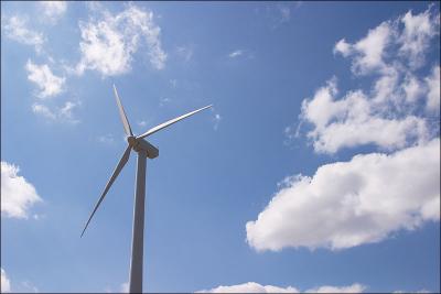 The Wind Farm