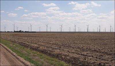 The Wind Farm