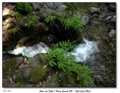 View from above the little falls