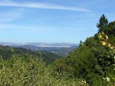 View from the Alec Canyon trail