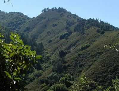 View of Knobcone point