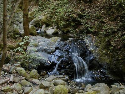 Little falls