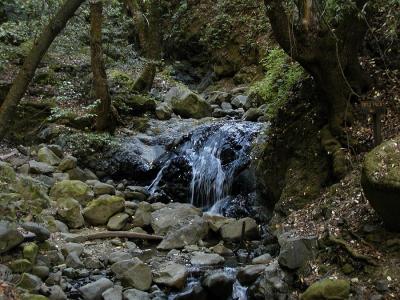 0P6232176_LittleFalls.jpg
