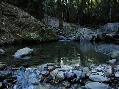 Pool in Uvas creek