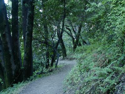 Zinfandel trail