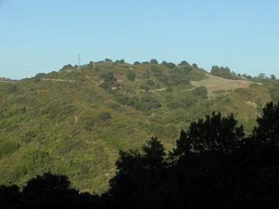 View of Fremont Older OSP