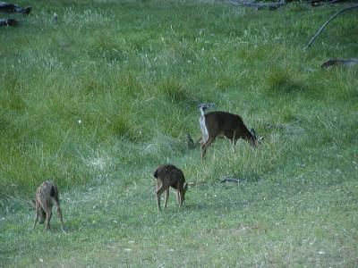 0P6191964_DeerPonds.jpg