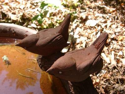 birdbath detail