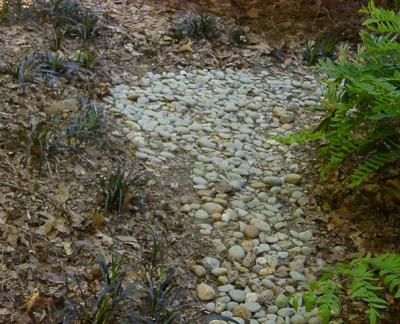 dry stream bed in dining room bed