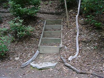 steps up to the nursery bed, just west of the driveway entrance