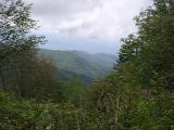 view from the trail