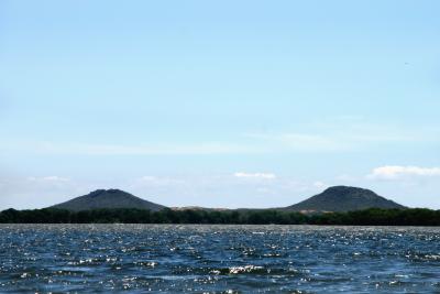 IMG_1252.jpg